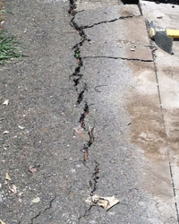 Crack and Pothole Repair